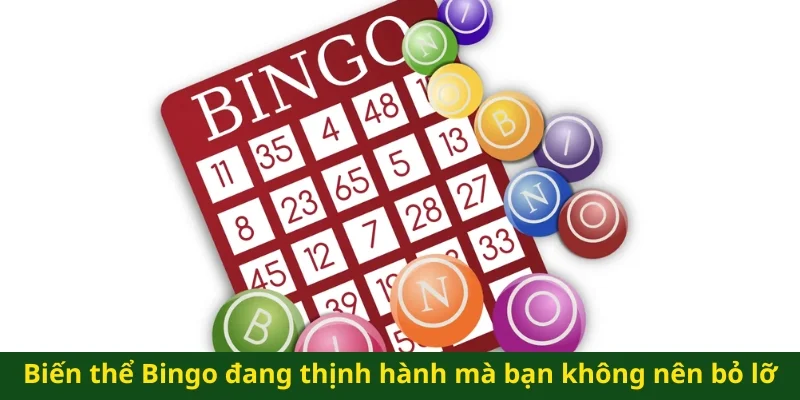 Biến thể Bingo đang thịnh hành mà bạn không nên bỏ lỡ