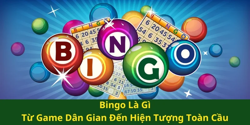 bingo là gì