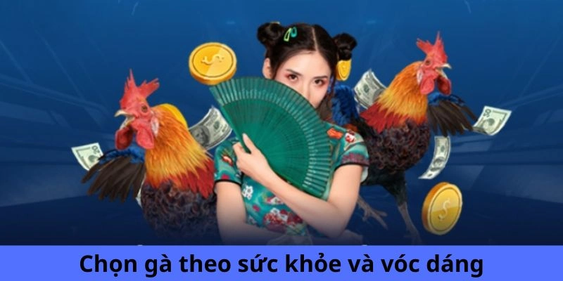 Chọn gà theo sức khỏe và vóc dáng