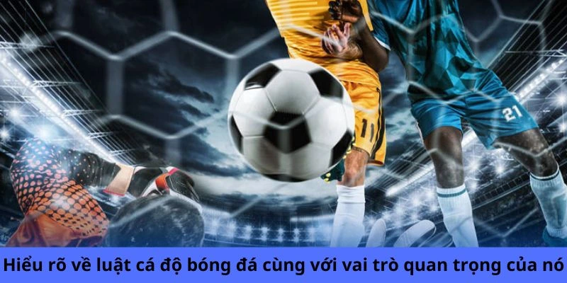 Hiểu rõ về luật cá độ bóng đá cùng với vai trò quan trọng của nó