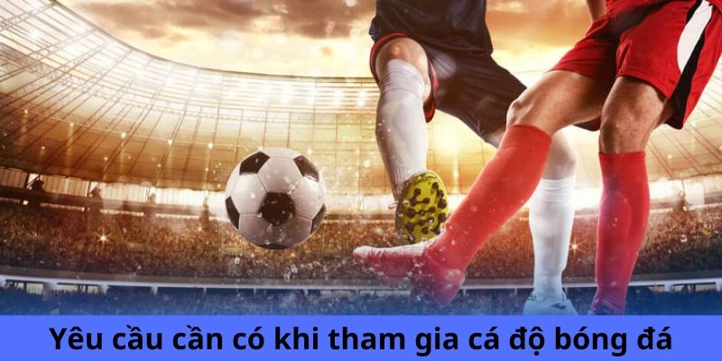 Yêu cầu cần có khi tham gia cá độ bóng đá